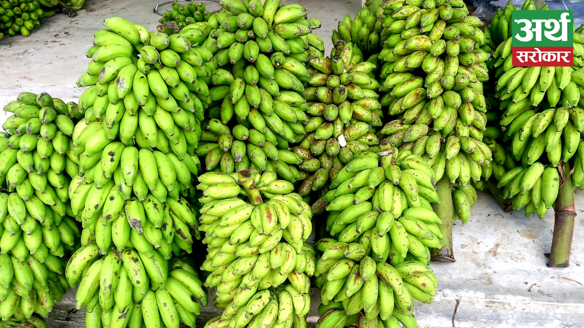 More than 10 crores worth of bananas have been imported from India in just two months