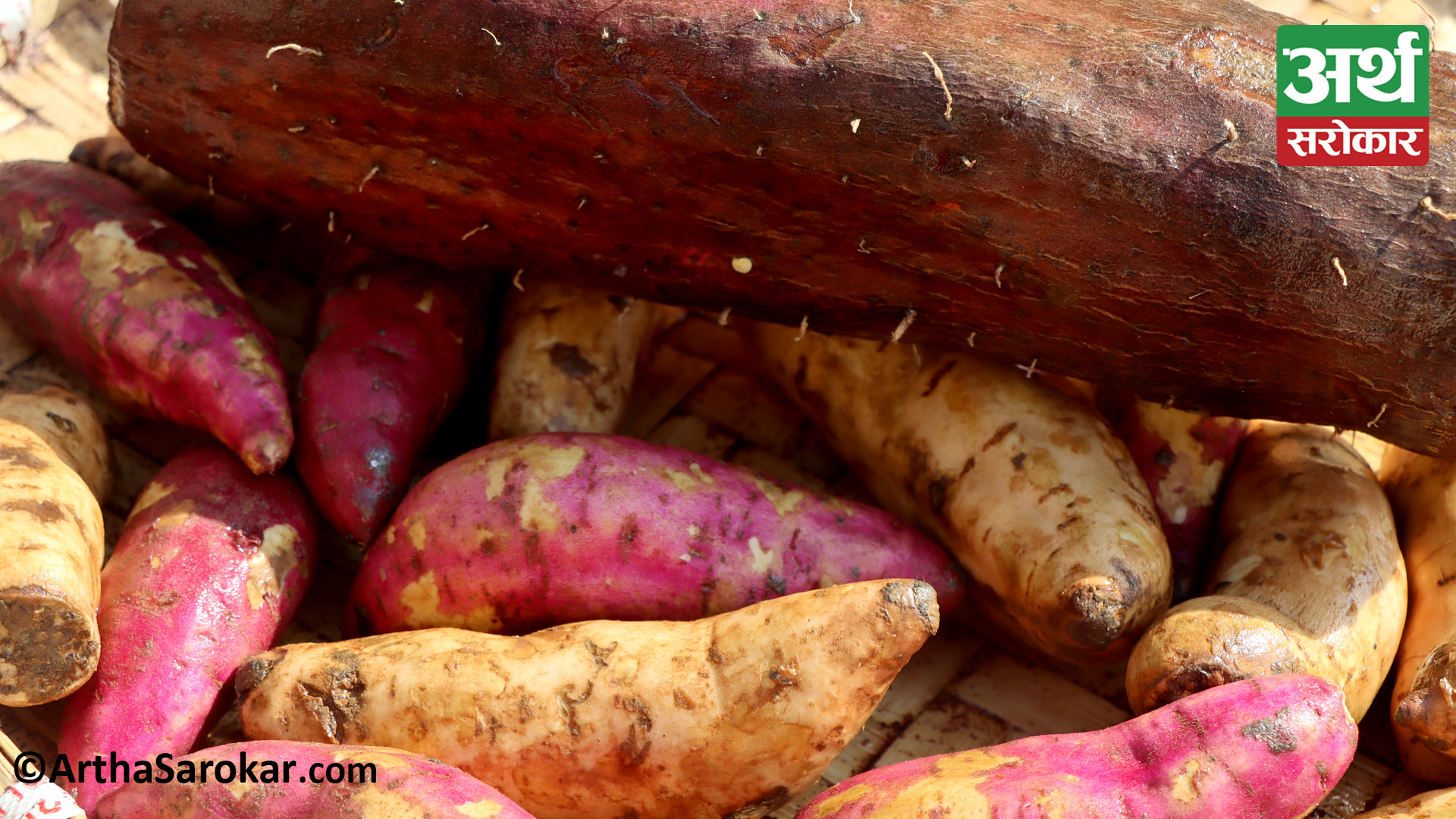 Haribodhani Ekadashi: At what price do yam and sweet potatoes sell for?