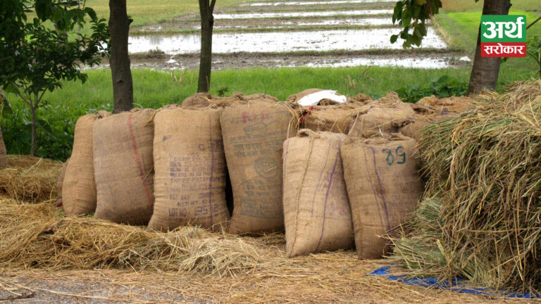 Farmers want a reasonable price for paddy